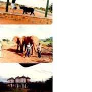 1980 Kenya Safari